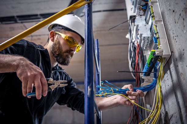 Best Electric Panel Repair  in Newton Falls, OH